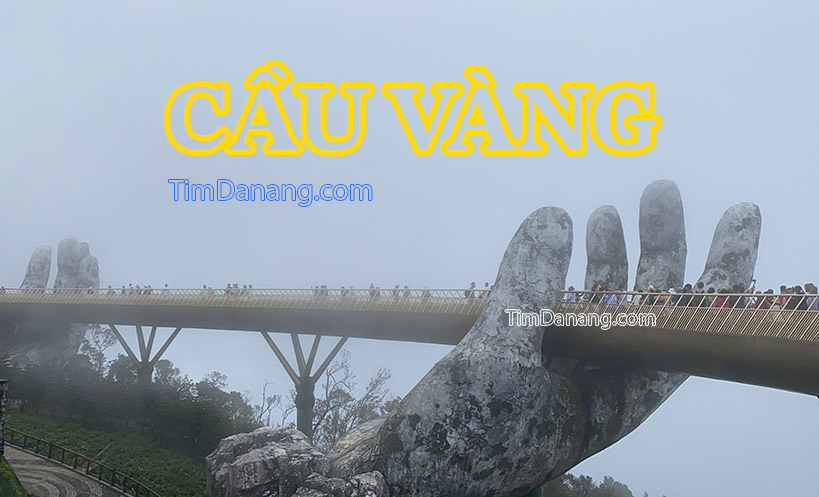 cau-vang-da-nang-ava.jpg