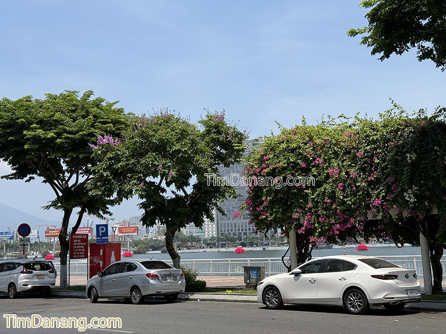 đường bạch đằng đà nẵng