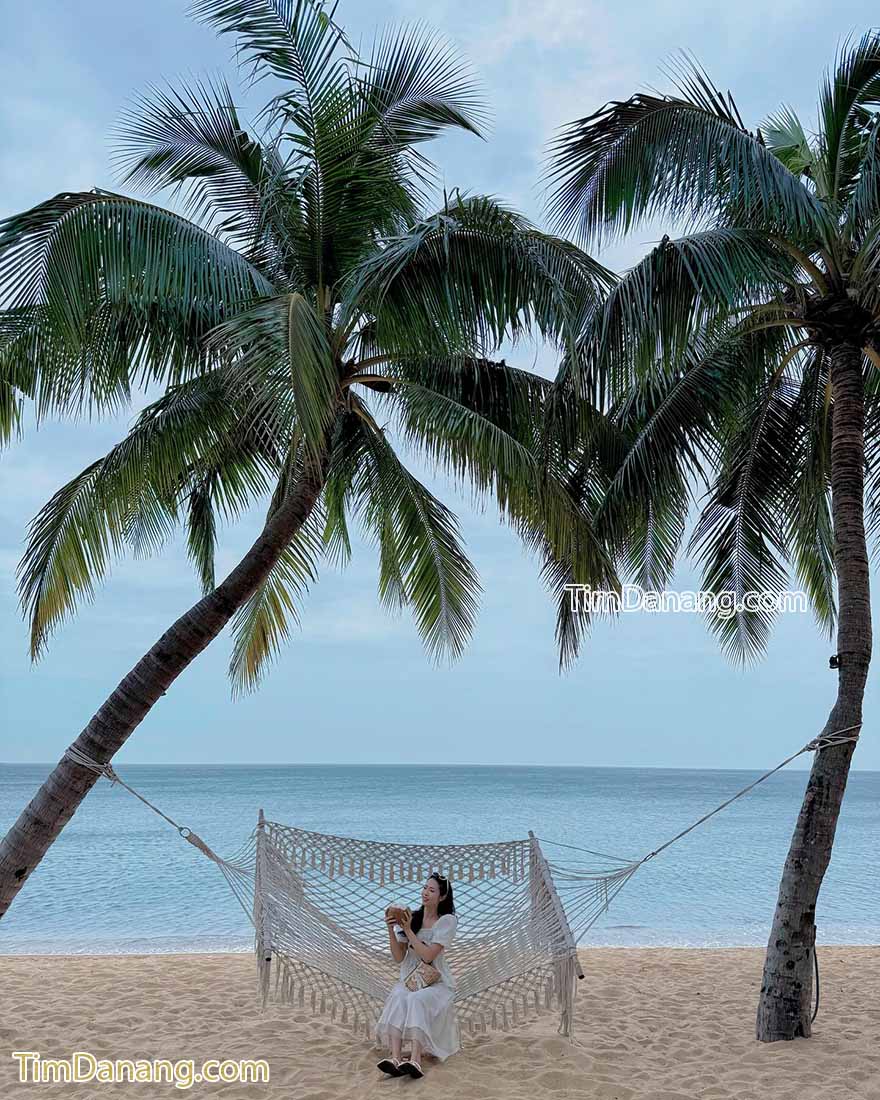 cá chuồn space đà nẵng