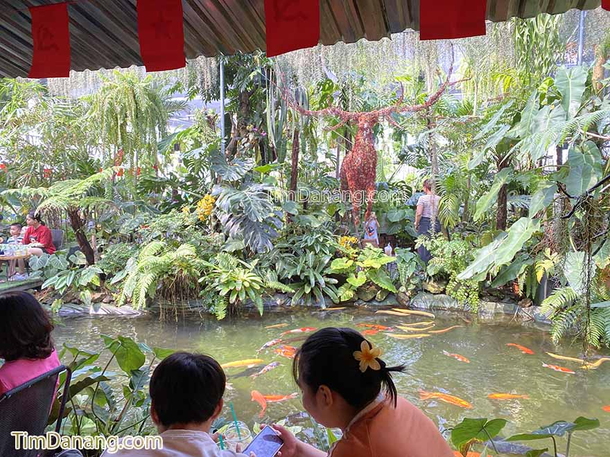 tiệm cafe cây và nước hoà xuân đà nẵng
