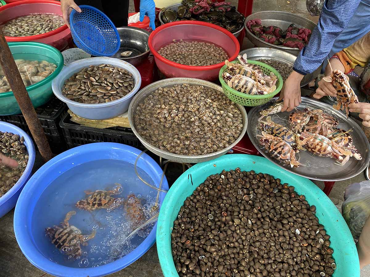 chợ bắc mỹ ăn đà nẵng