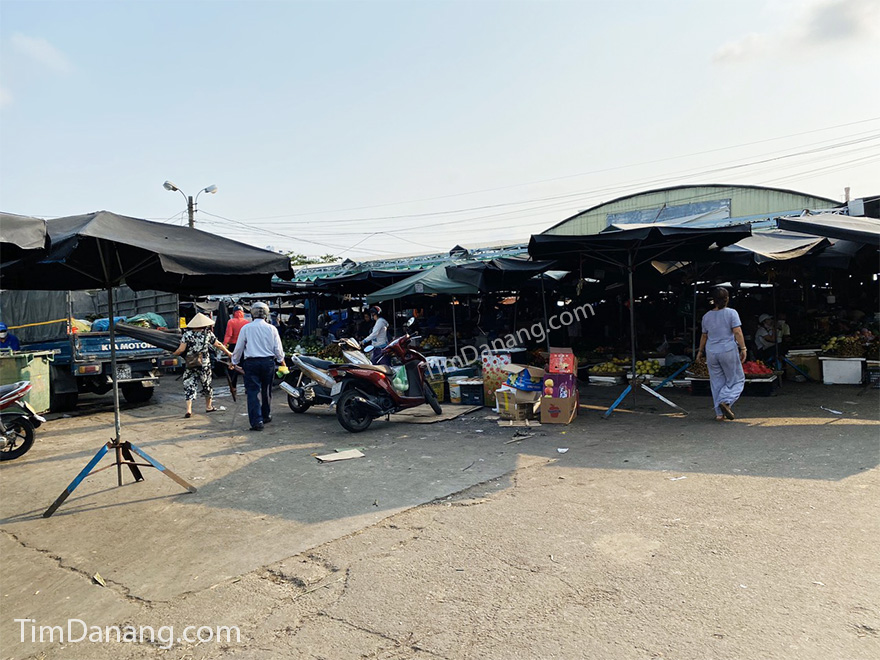 Chợ đầu mối Hoà Cường Đà Nẵng - Chợ bỏ mối lớn nhất Đà Nẵng
