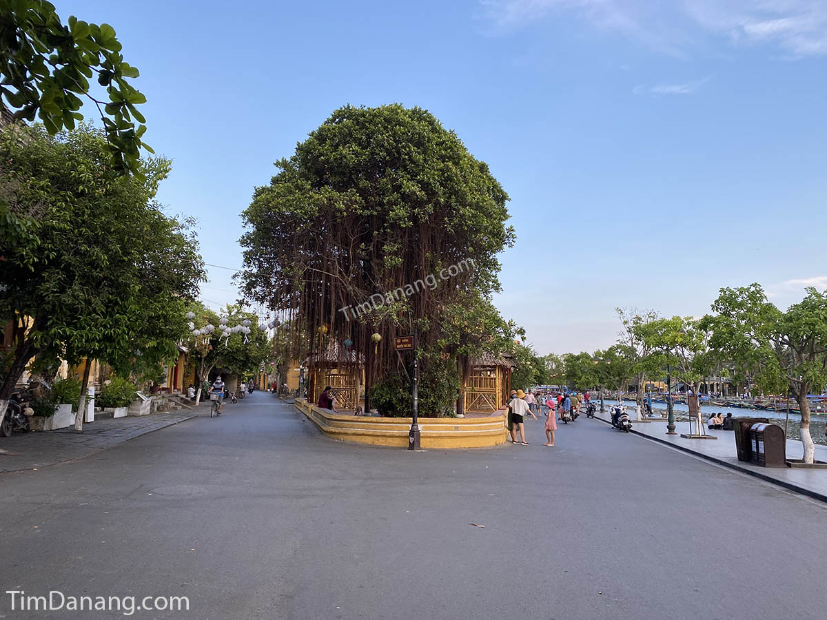 đường bạch đằng hội an